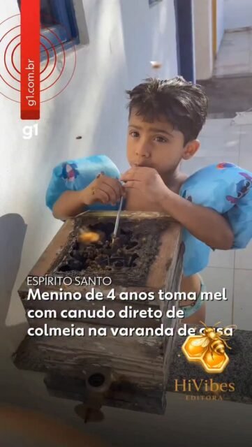 🐝🍯 Notícias das Abelhas 🍯🐝

Um menino de apenas 4 anos encantou as redes sociais ao aparecer tomando mel diretamente de uma colmeia de abelhas sem ferrão em Anchieta, no sul do Espírito Santo. 🌼🐝

Theo Cyrillo convive com abelhas da espécie uruçu e, segundo sua família, cresceu em contato próximo com a natureza, desenvolvendo respeito e curiosidade pelos animais. 💛🌿

Especialistas destacam que as abelhas sem ferrão são fundamentais para a polinização e para o equilíbrio dos ecossistemas, reforçando a importância da preservação desses incríveis polinizadores. 🌸🍃

📍 Anchieta – Espírito Santo 📺 Fonte: Portal G1

Cada criança que aprende a amar a natureza hoje se torna um guardião do meio ambiente amanhã. 🐝🌻🍯

#NoticiasDasAbelhas #AbelhasSemFerrao #Meliponicultura #g1 #Polinizadores 🐝🍯🌼🌸