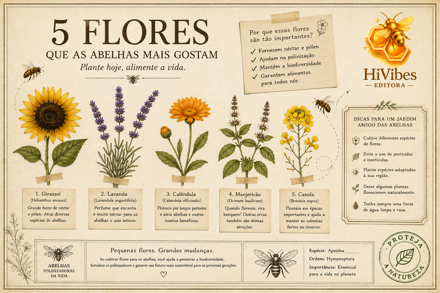 5 flores que as abelhas mais gostam