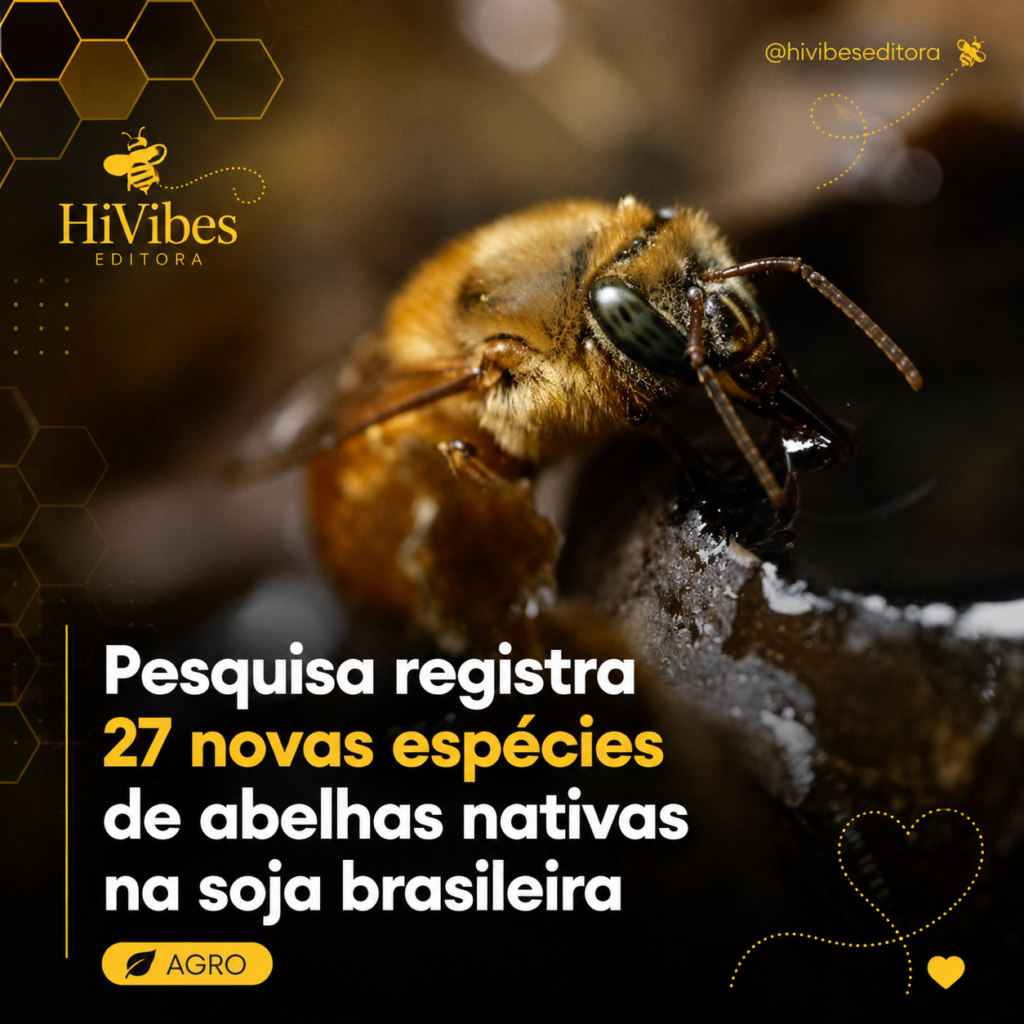 Abelhas nativas e soja: pesquisa da Embrapa revela 27 novos registros no Brasil
