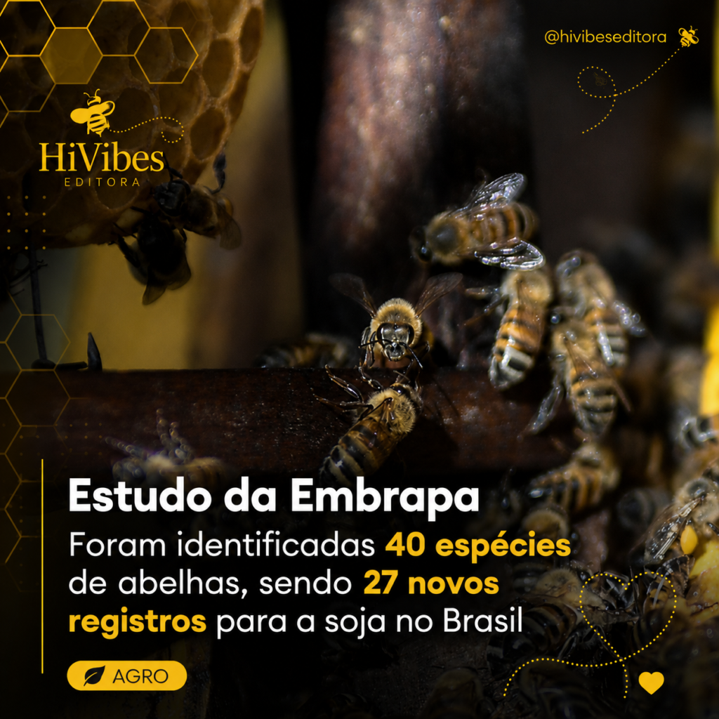 Abelhas nativas e soja: pesquisa da Embrapa revela 27 novos registros no Brasil