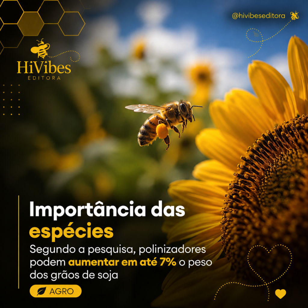 Abelhas nativas e soja: pesquisa da Embrapa revela 27 novos registros no Brasil