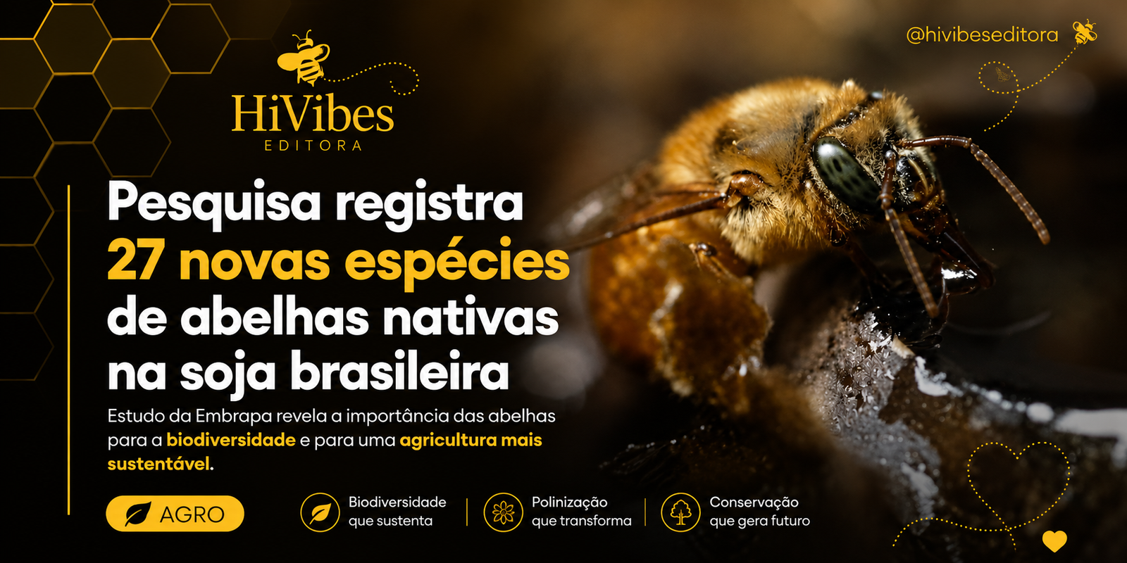 Abelhas nativas e soja: pesquisa da Embrapa revela 27 novos registros no Brasil