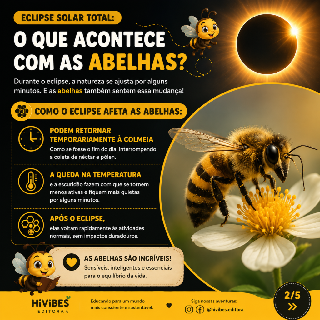 Eclipse solar total: como o fenômeno afeta abelhas, aves e outros animais?